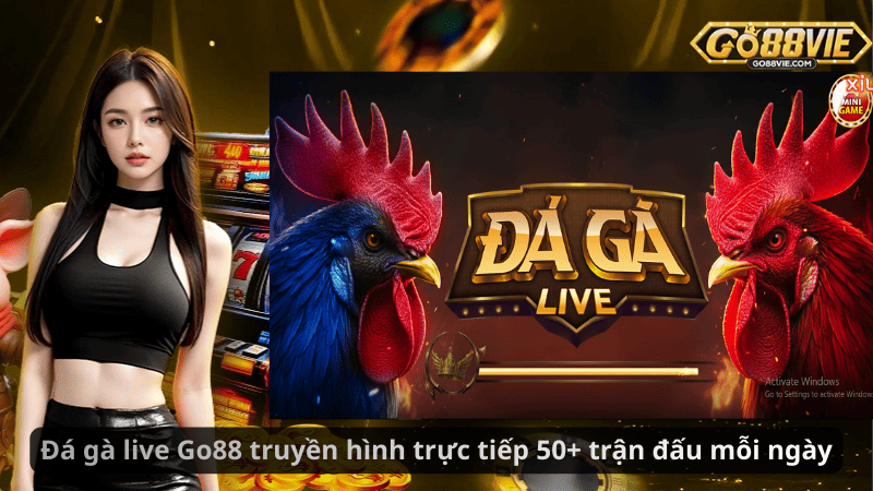 Đá gà live Go88 truyền hình trực tiếp 50+ trận đấu mỗi ngày